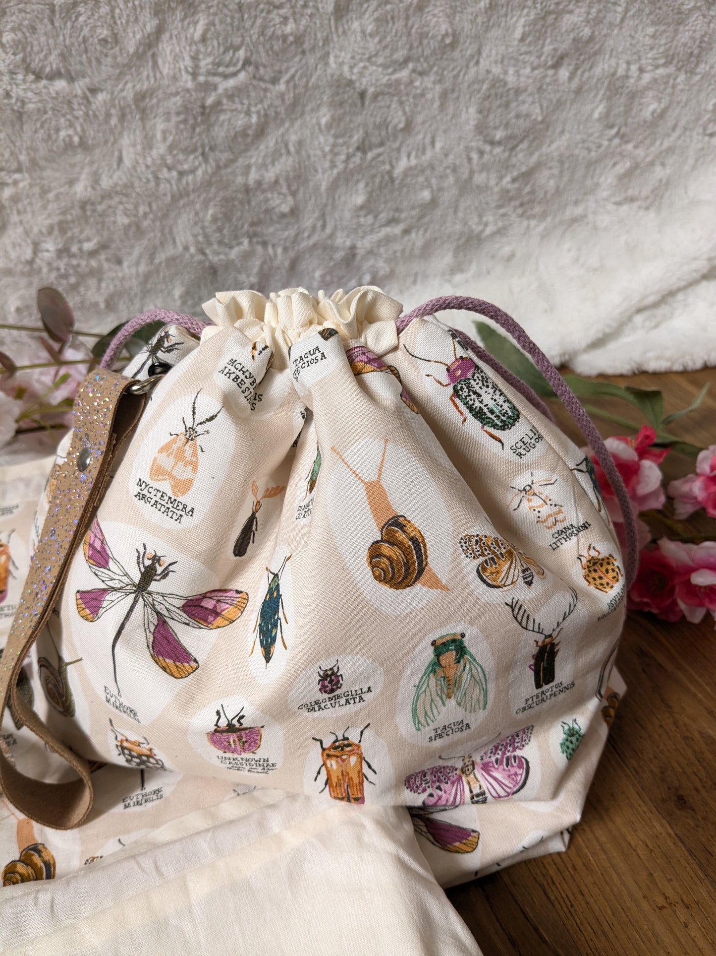 Sac à projet "Entomologie"