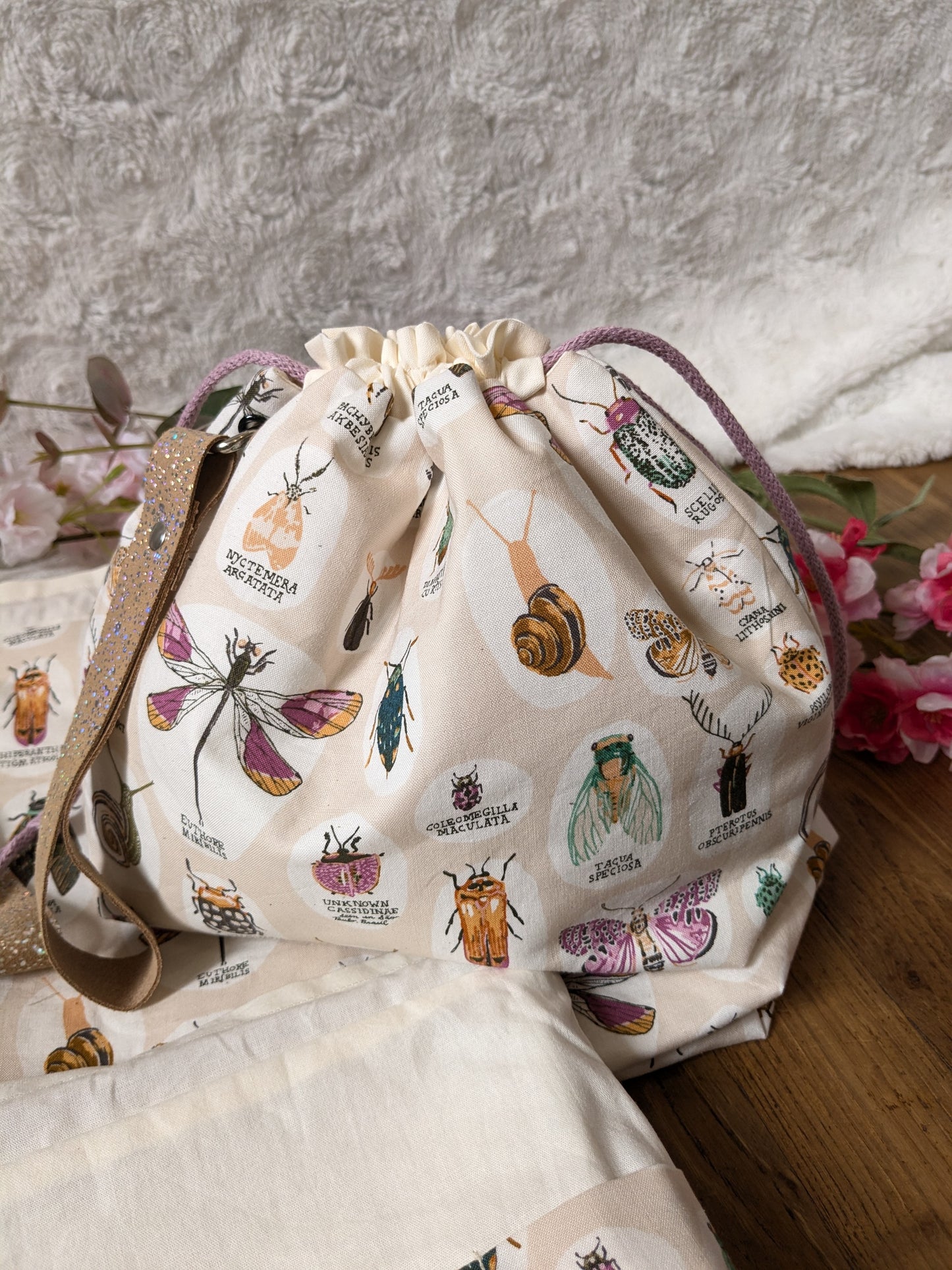 Sac à projet "Entomologie"