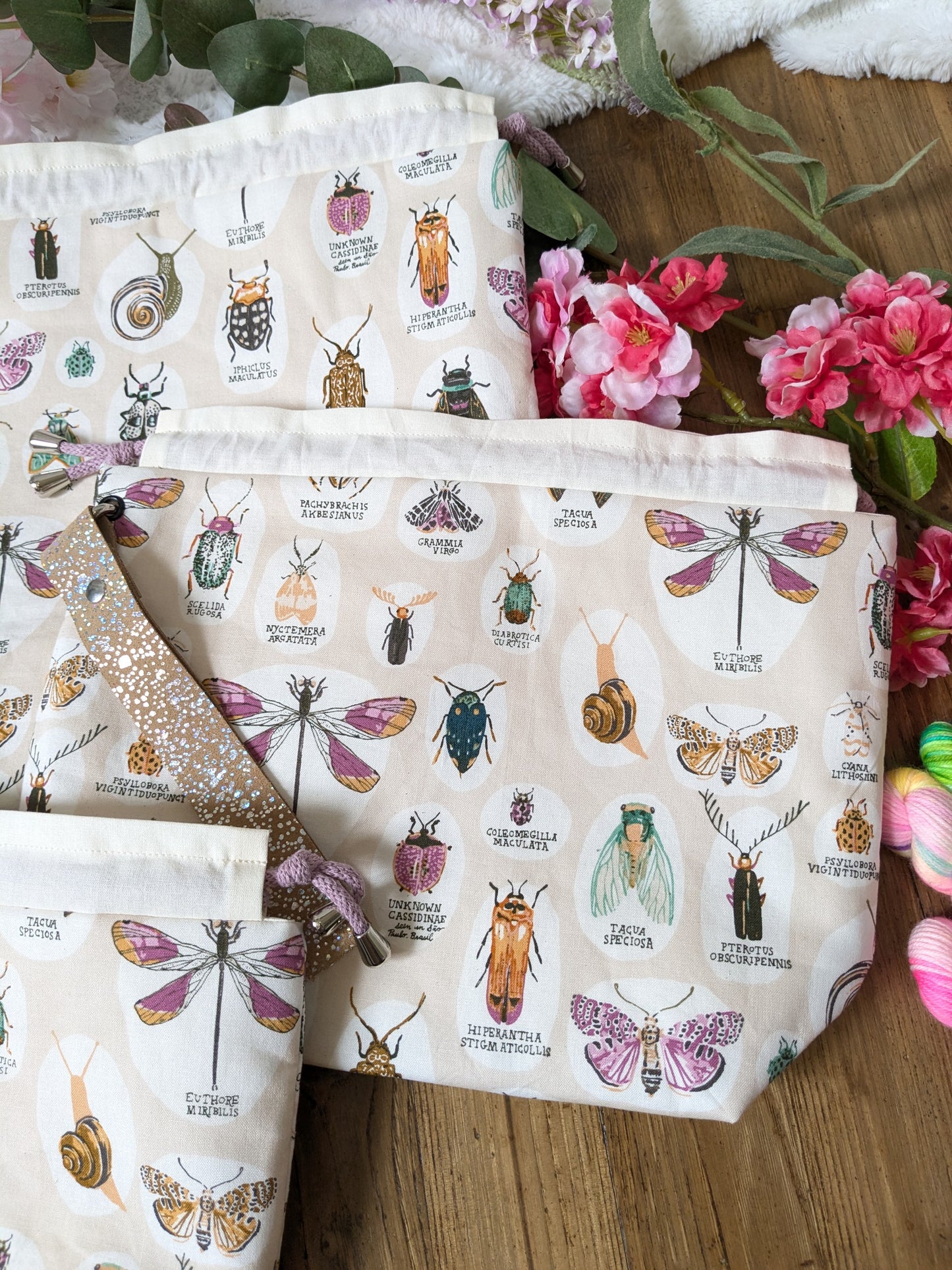 Sac à projet "Entomologie"